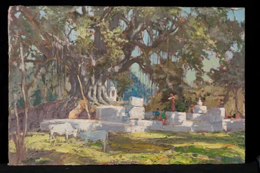 Kawardha-Brunnen und Banyanbaum